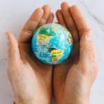  Global Sales Reps &amp; Agencies